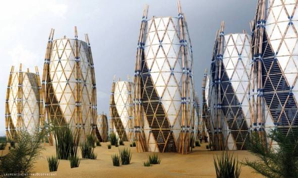 Casas de bambú muy contemporáneas