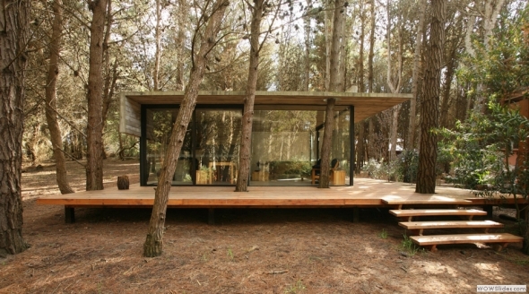 Casa de cristal en el bosque - Noticias de Arquitectura - Buscador de  Arquitectura