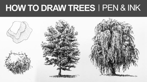  Aprende a dibujar árboles con estilógrafo o plumín