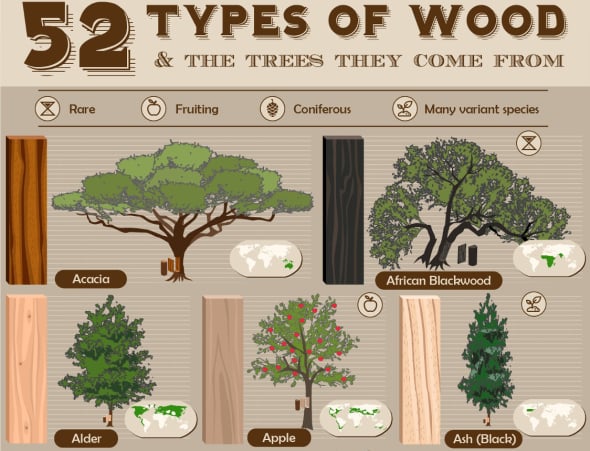 53 tipos de maderas (Y de dnde provienen)