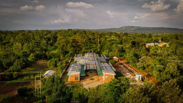 Paneles solares cubren el patio de esta clnica ugandesa