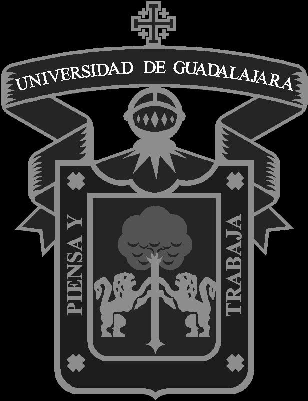 Logo Udg